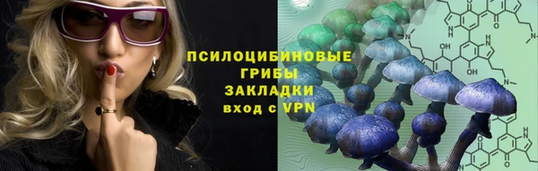 мдпв Арсеньев