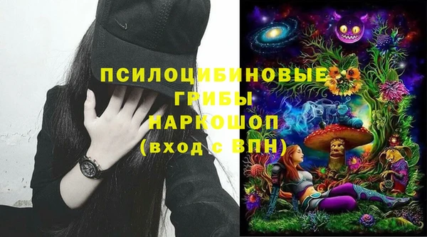 мдпв Арсеньев