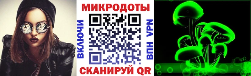 Галлюциногенные грибы Psilocybine cubensis  хочу наркоту  Сортавала 